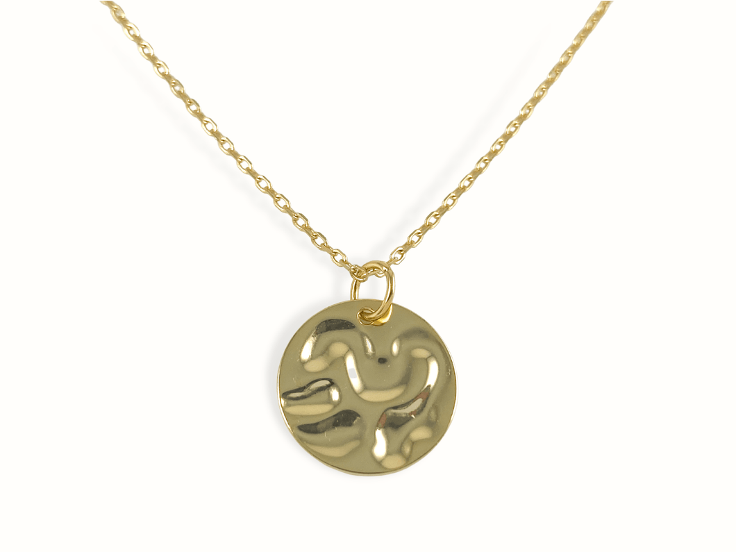 Langley | 18K Gold Wavy Coin Necklace - Just Daint